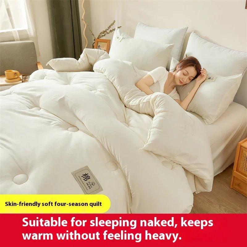 Airable Cover Double Thickened Cotton Duvet Insert