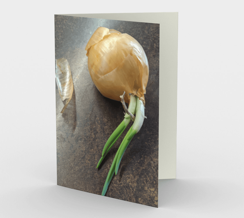 Set of 3 Blank Greeting Cards | 5 x 7 | Onion