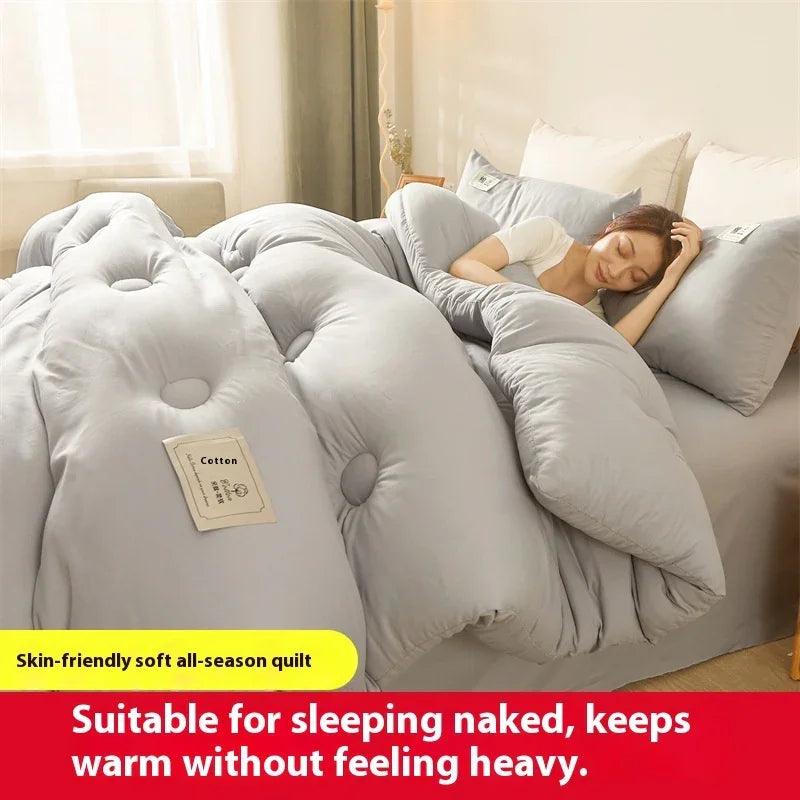 Airable Cover Double Thickened Cotton Duvet Insert