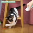 2-in-1 Cat Toy Rechargeable Laser Pointer & Feather Wand for Indoor Cats – Canada & USA