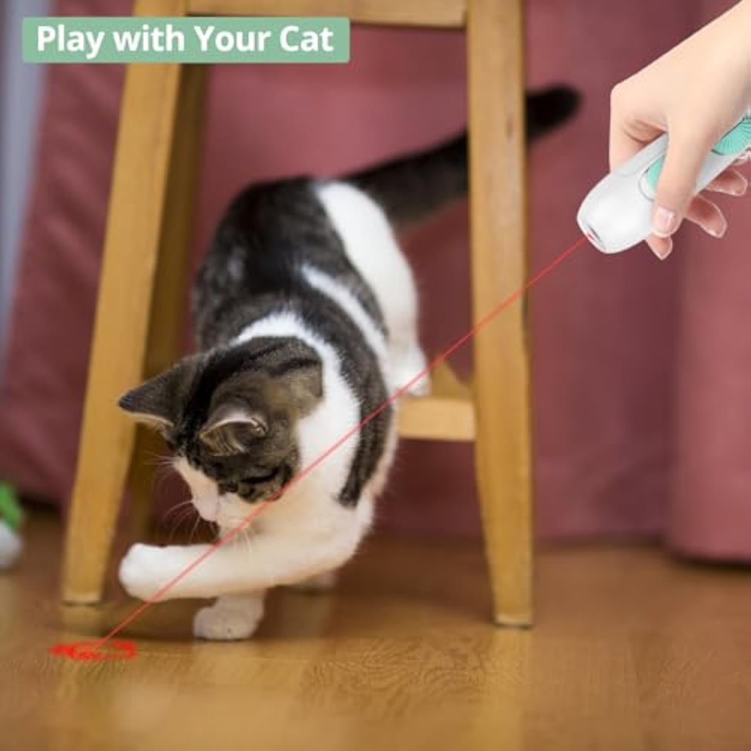2-in-1 Cat Toy Rechargeable Laser Pointer & Feather Wand for Indoor Cats – Canada & USA