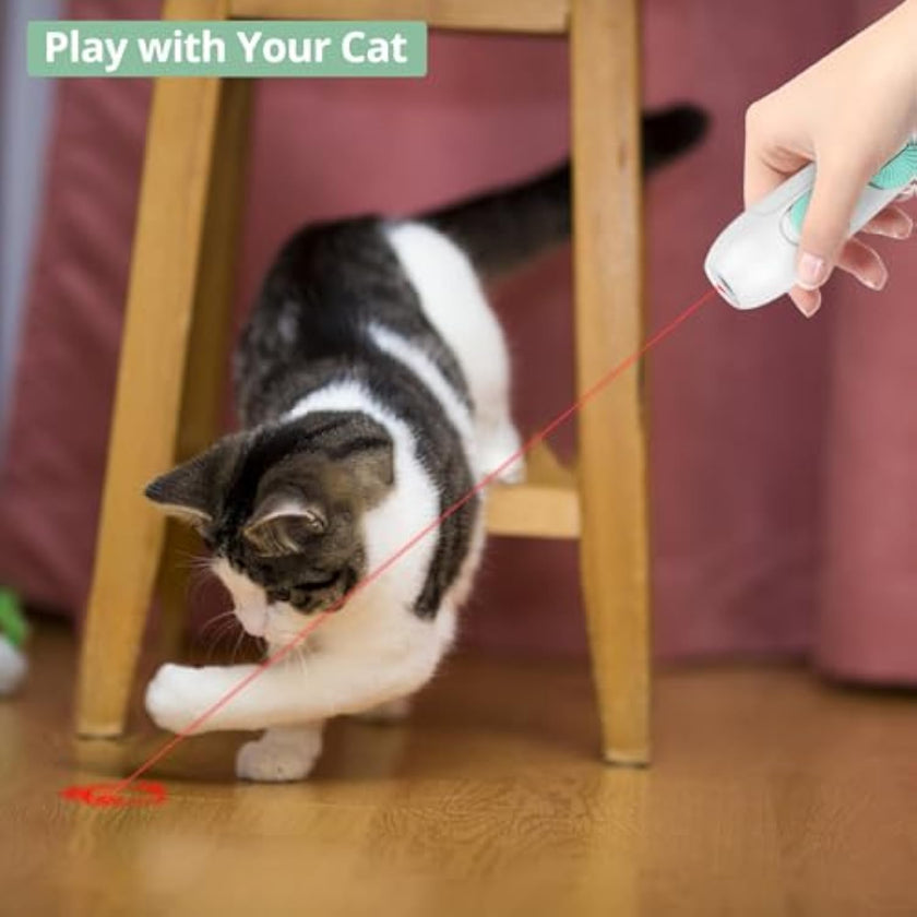 2-in-1 Cat Toy Rechargeable Laser Pointer & Feather Wand for Indoor Cats – Canada & USA