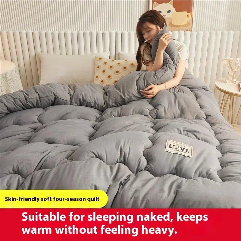Airable Cover Double Thickened Cotton Duvet Insert