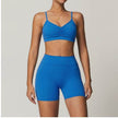 2pcs Yoga Outfit set Sport Fitness Workout Gym wear for women