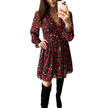 Spring Summer V-neck Long sleeve Floral Mini dress
