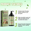 Rosemary Mint Shampoo for Hair Growth – Biotin Infused Anti Hair Loss Shampoo with Coconut Oil & Amino Acids