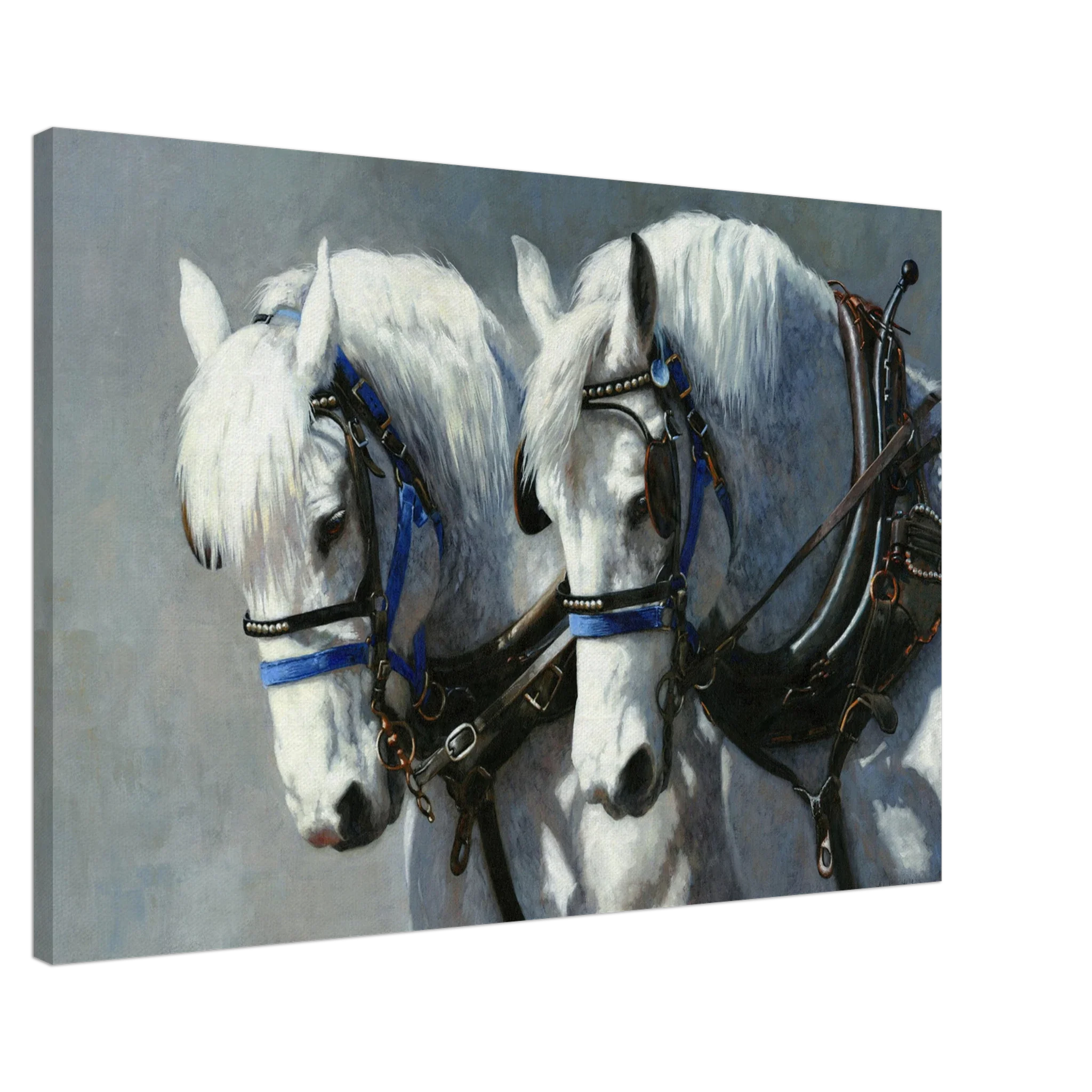 Pure Power Canvas Print