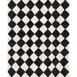 Trestres Checkered Black & Ivory Rug