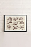 COASTAL COLLECTION, Oeuvre sur toile étirée