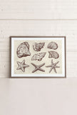 COASTAL COLLECTION, Oeuvre sur toile étirée