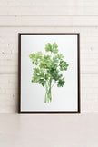 CILANTRO, Oeuvre sur toile étirée