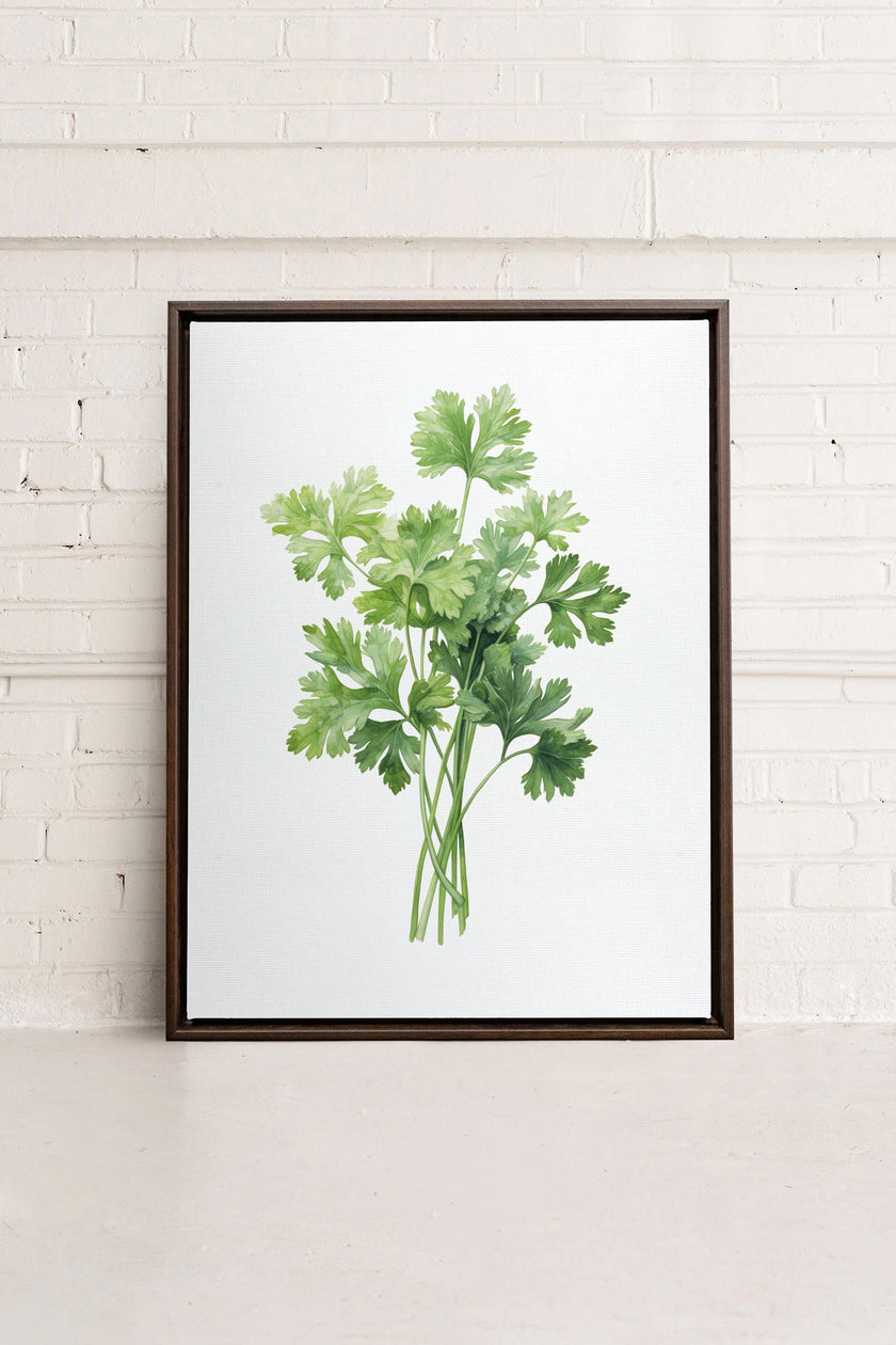 CILANTRO, Oeuvre sur toile étirée