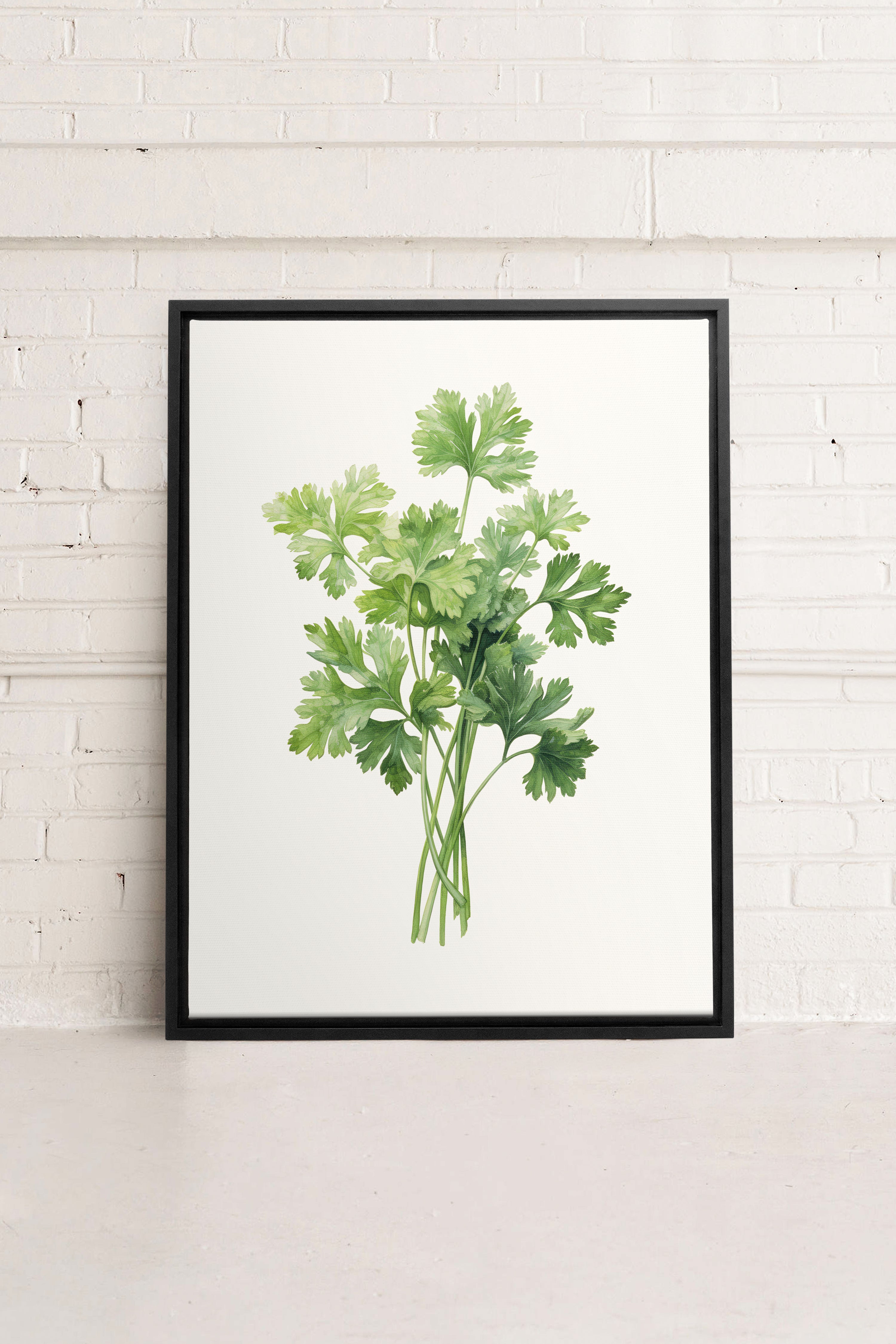 CILANTRO, Oeuvre sur toile étirée