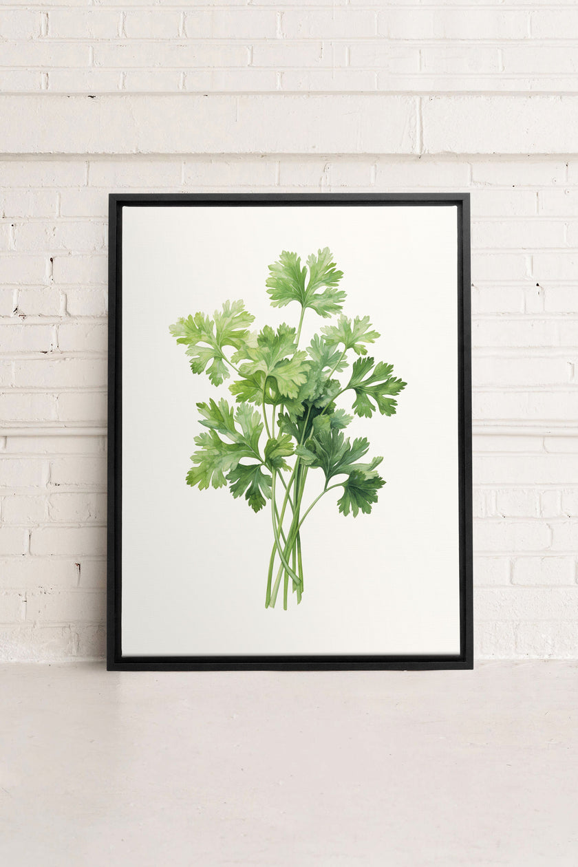 CILANTRO, Oeuvre sur toile étirée
