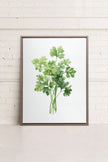 CILANTRO, Oeuvre sur toile étirée