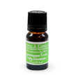 Essential Oil - Solution Collection - Fruity Insomniac