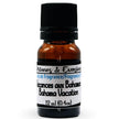 Fragrance Oil - Bahama Vacation