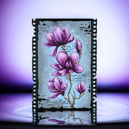 AALL and Create - 6