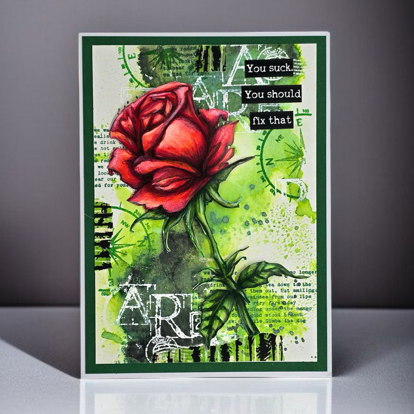 AALL and Create - 6
