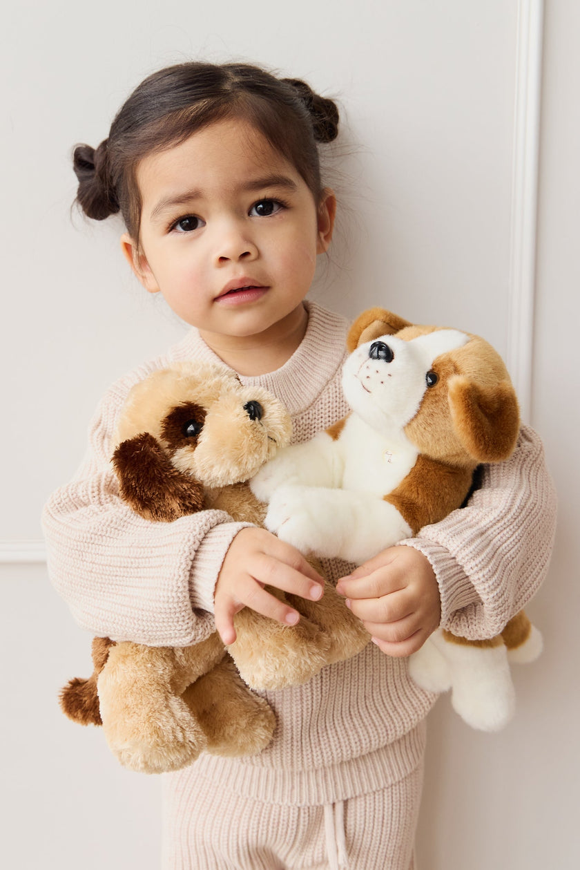 Plush - Coco the shih tzu - Snuggle Bunnies