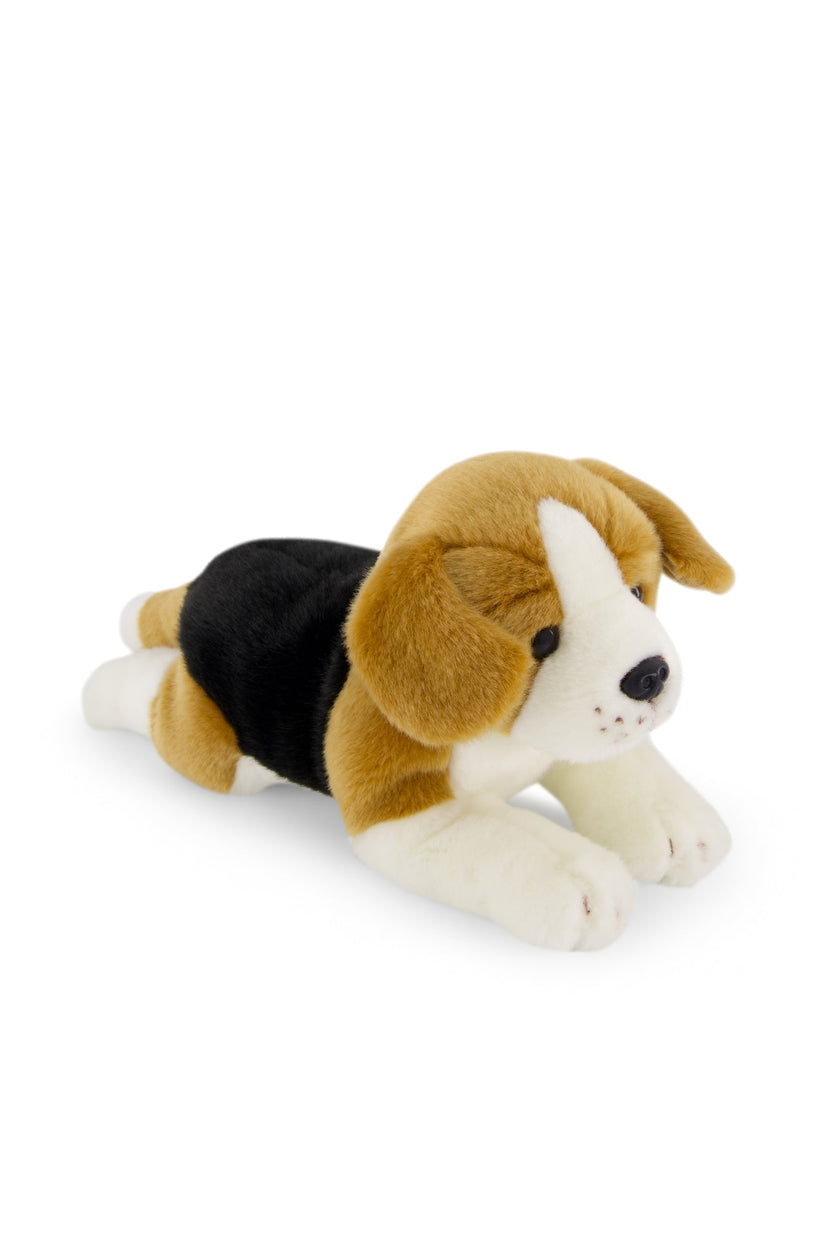 Plush - Brooklyn the Beagle - Snuggle Bunnies