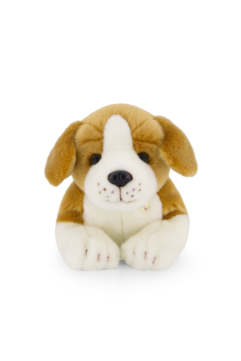 Plush - Brooklyn the Beagle - Snuggle Bunnies