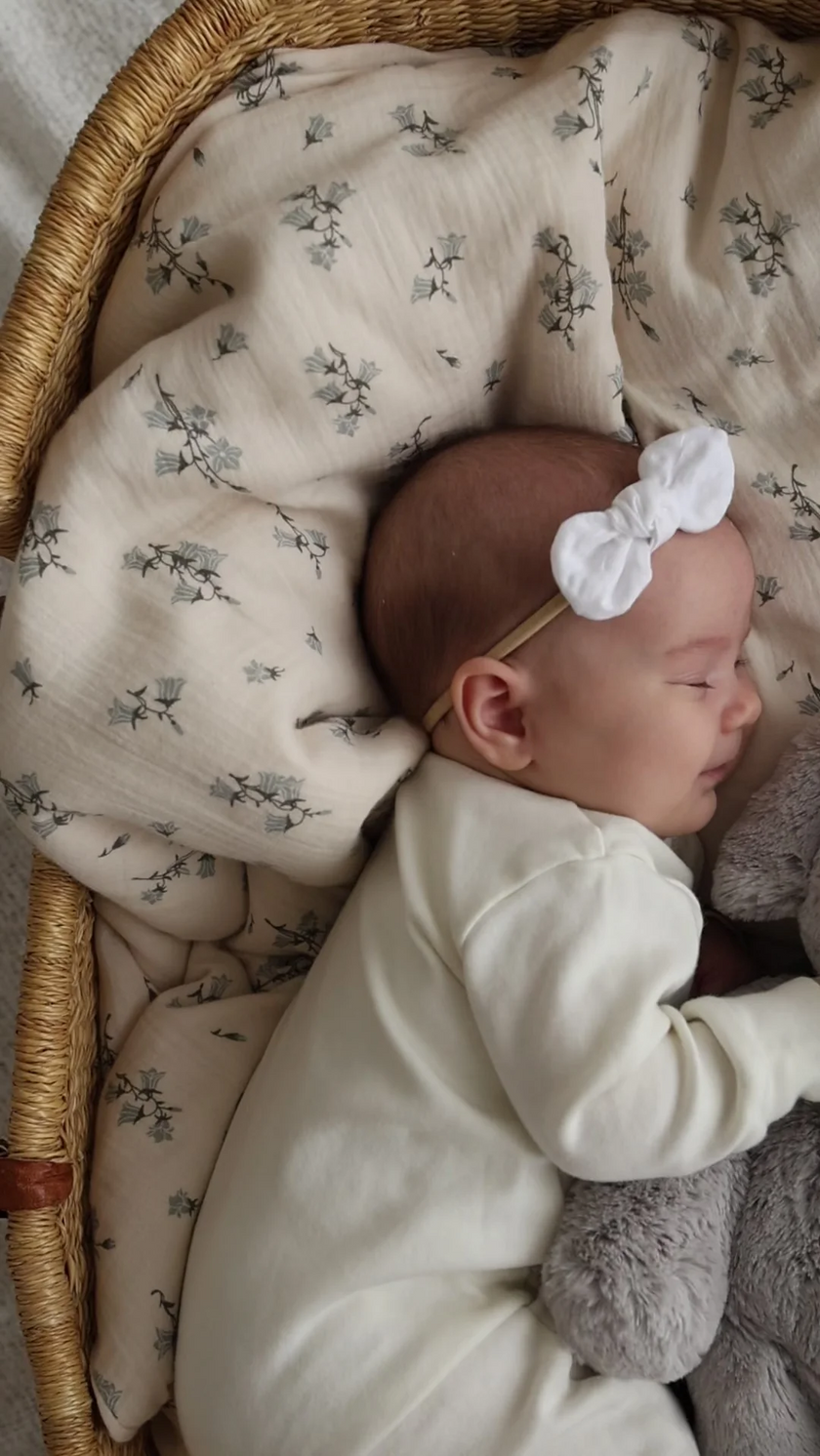 Plush - Olive the Grey Elephant - Snuggle Bunnies