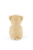 Plush - Arthur the Bear - Snuggle Bunnies