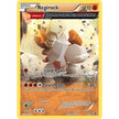 Regirock - XY49 (XY49) (PR)