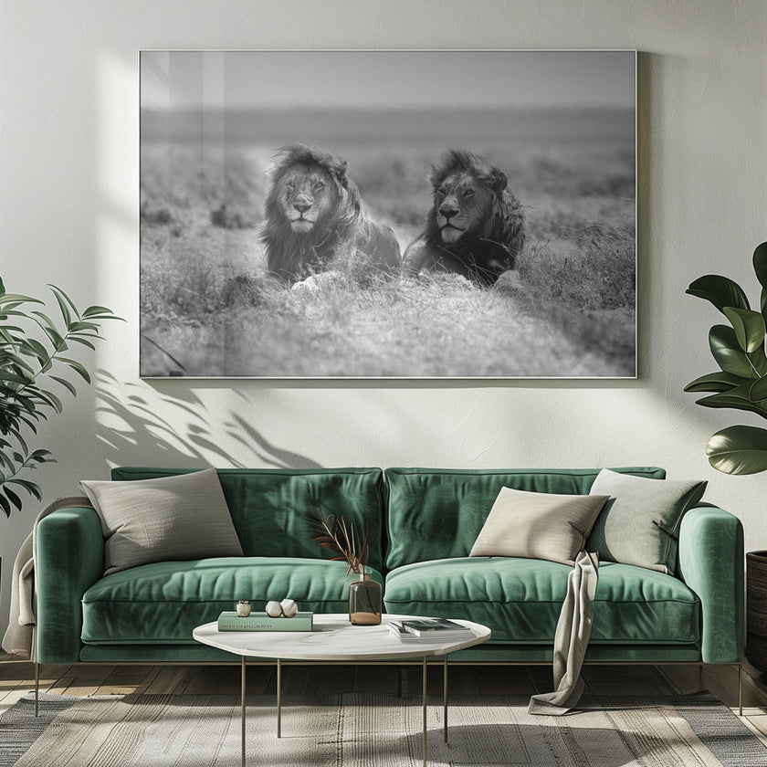 Wall art Two kings