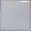 1010 Undercoat White- 1 oz