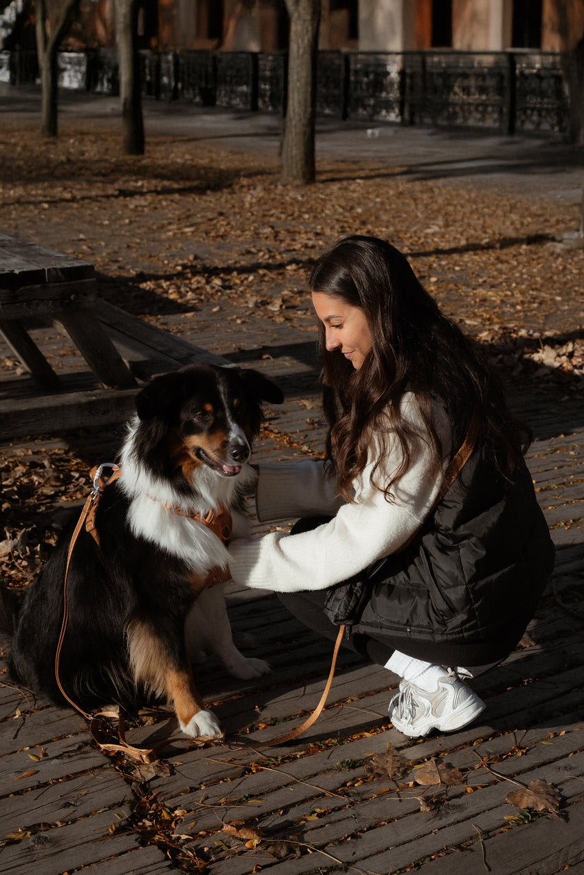 Daily Hands-Free Leash - Dulce