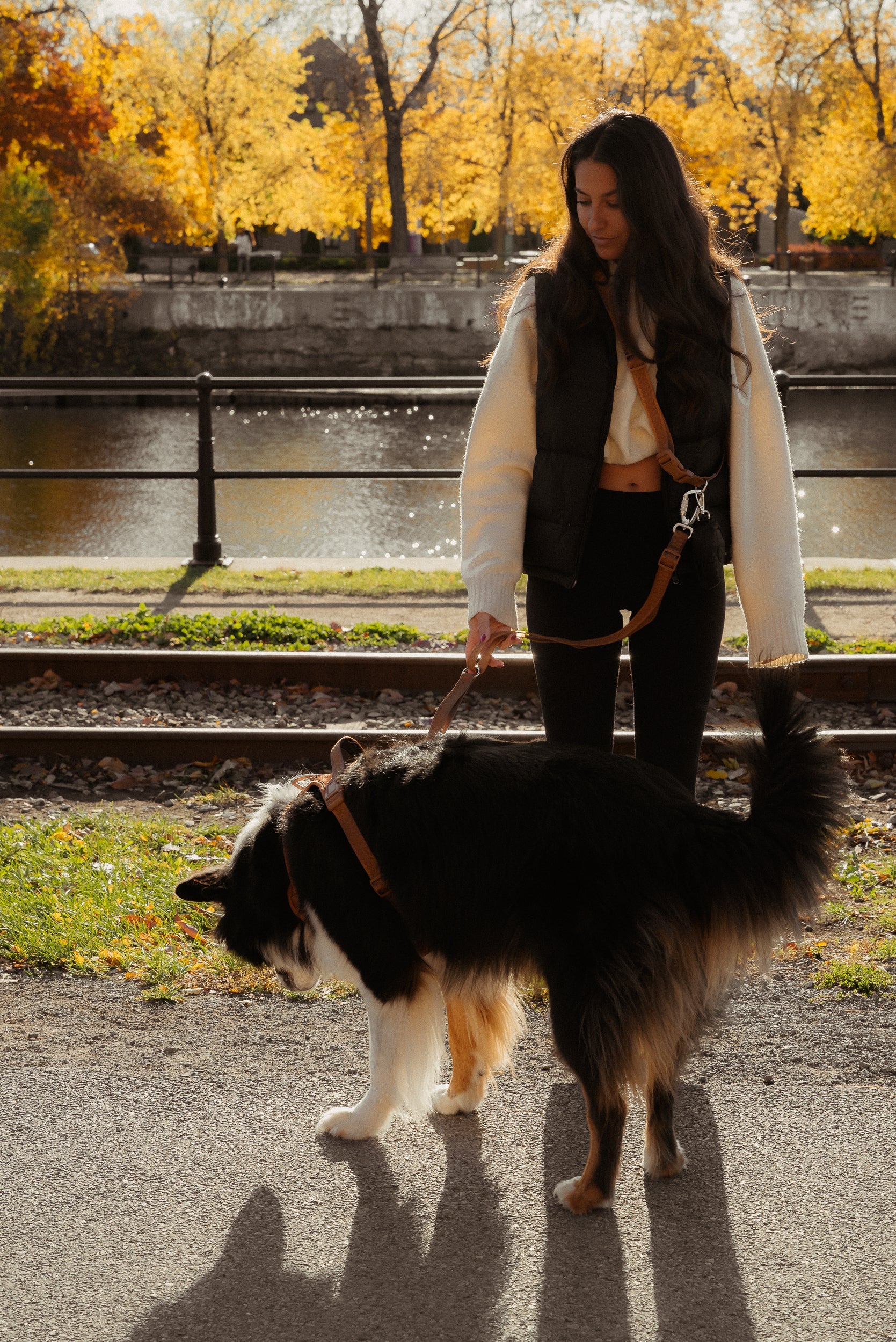 Daily Hands-Free Leash - Dulce