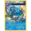 Gyarados - XY60 (Prerelease) (XY60) (PR)