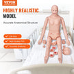 VEVOR Nursing Training Manikin, Male/Female Life Size Demonstration Human Manikin for Nursing Training, Multifunctional Education Teaching Model, PVC Anatomical Mannequin Body Care Simulator Model