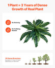 VEVOR 2Pcs Artificial Boston Ferns Plastic Fern 30 Branches Indoor Outdoor Decor