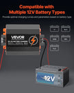 VEVOR 12V 40A DC to DC Charger Battery Charger 500W for Lead-Acid Lithium AGM