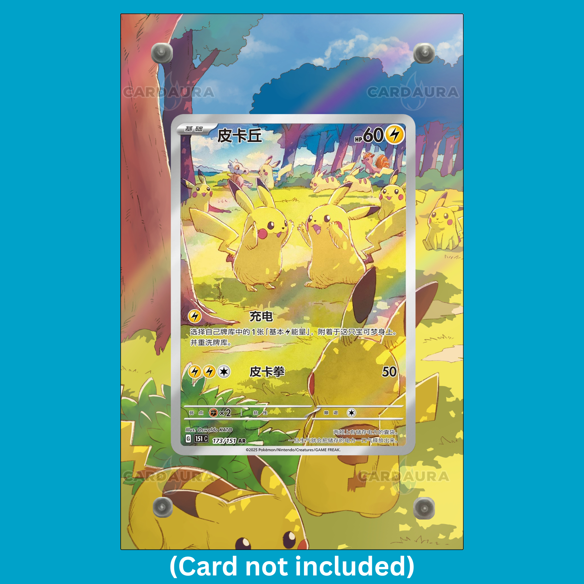 Pikachu 173/151 CN (Ungraded) Display Case