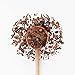 JusTea - Purple Tea - Purple Chocolate (100g)
