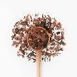 JusTea - Purple Tea - Purple Chocolate (100g)