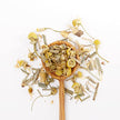 JusTea - Chamomile Dream (45g)