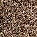 Splendor Garden - Organic Basil (15g)