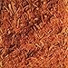 Splendor Garden - Organic Jerk Seasoning (35g)