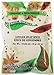 Splendor Garden - Organic Ginger Snap Spice (35g)
