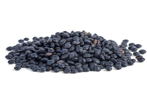 Splendor Garden - Organic Beluga Black Lentils (600g)