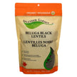 Splendor Garden - Organic Beluga Black Lentils (600g)