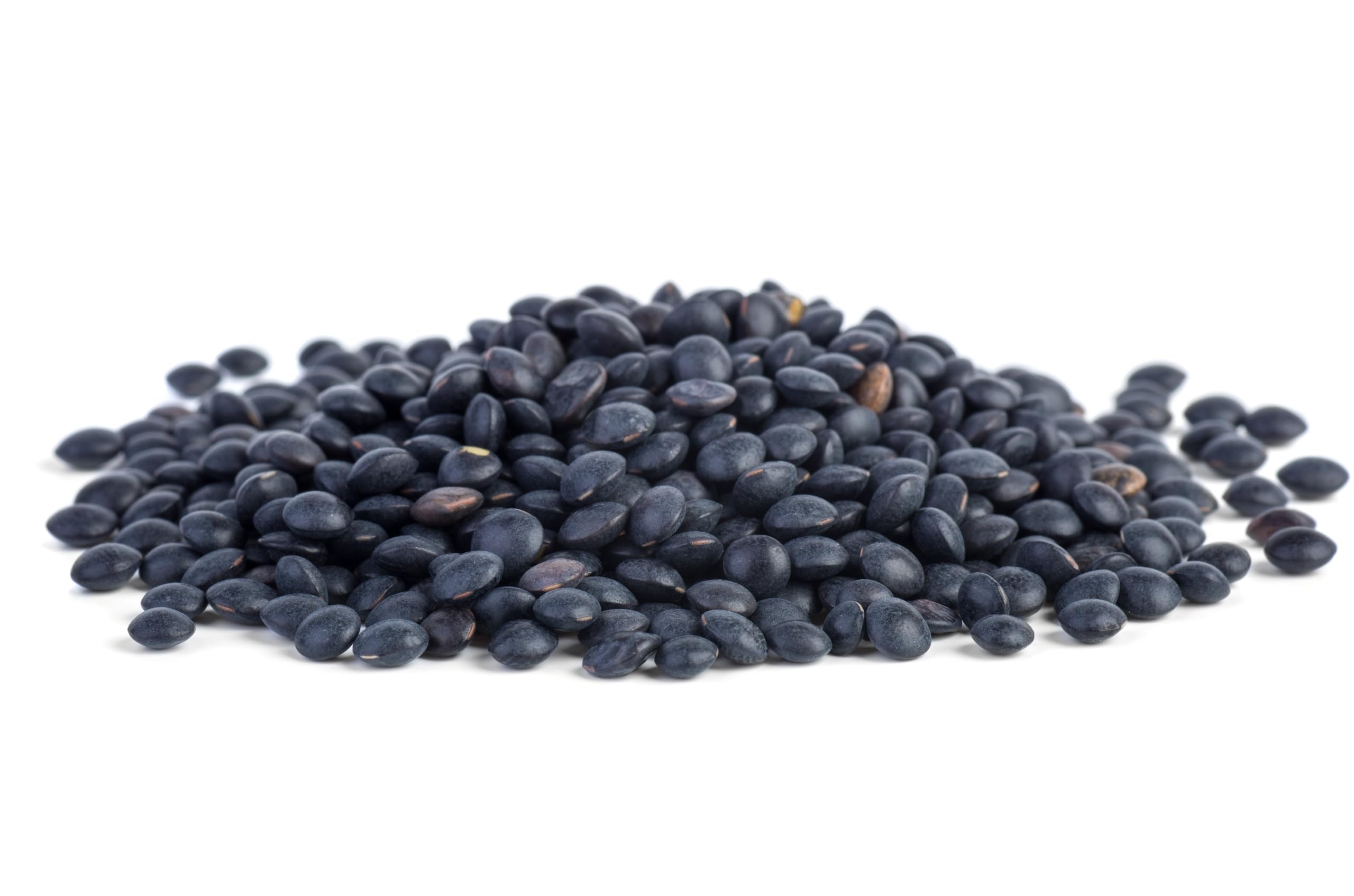 Splendor Garden - Organic Beluga Black Lentils (600g)