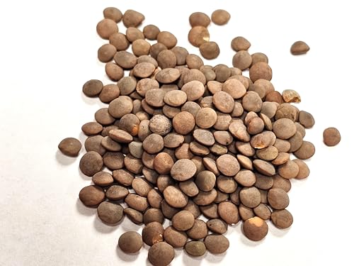 Splendor Garden - Organic Red Lentils (600g)