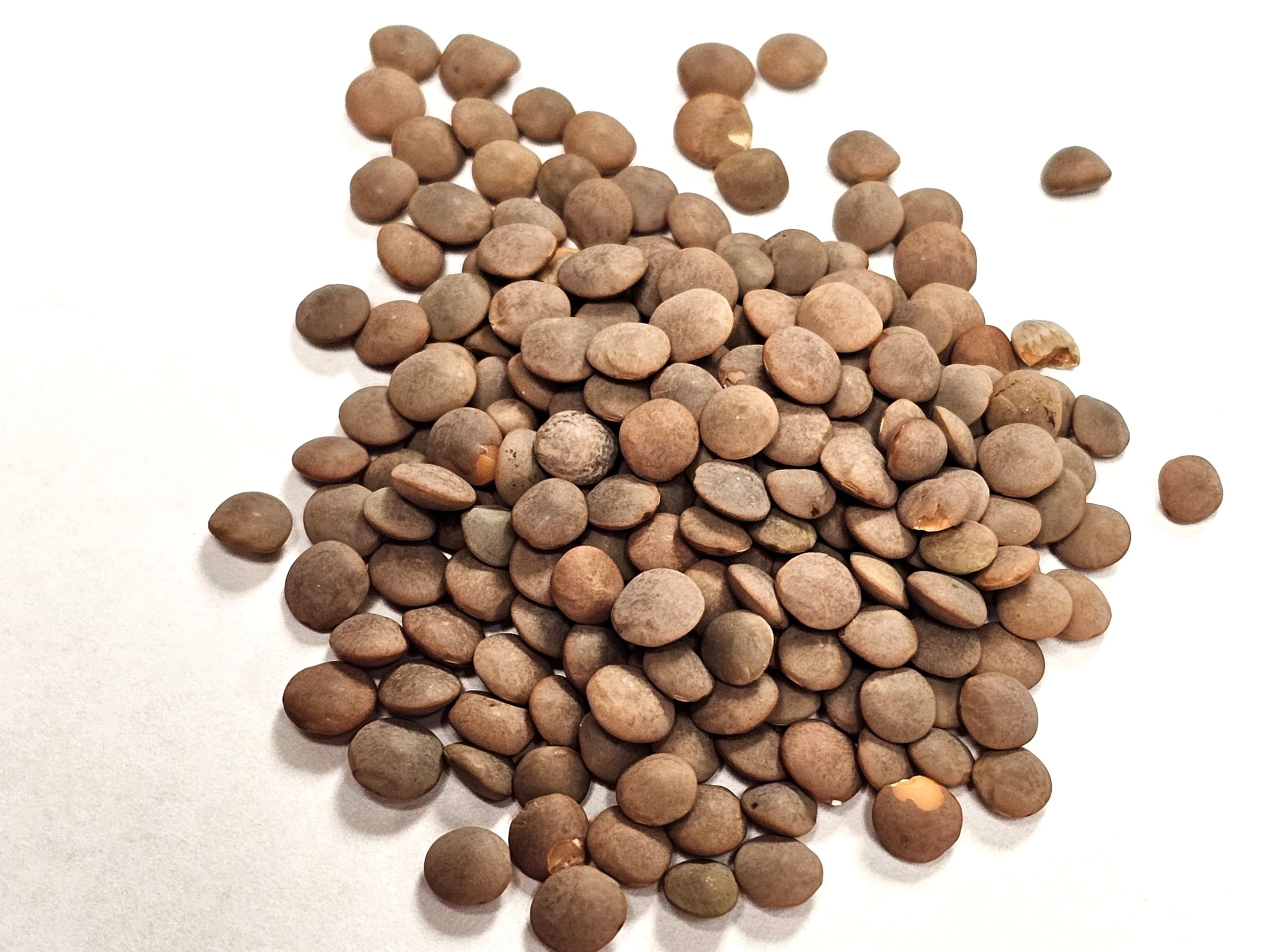 Splendor Garden - Organic Red Lentils (600g)