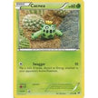 Cacnea (4/162) (BKT)